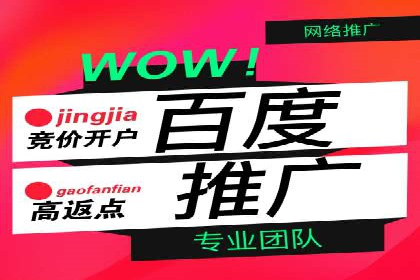百度推广技巧：成功案例分享与解析